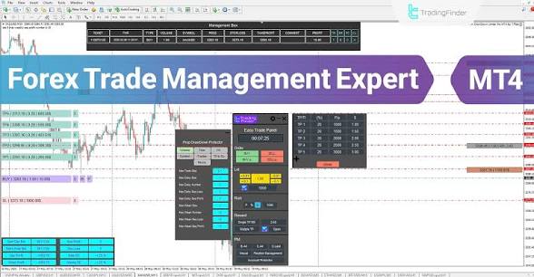 The Art of Algorithmic Forex Strategy Development  MT4 Mastering the Market - Ava Phillips Styles Collection,  Organic Green Product for pets and Animation Moive Memorabilia.