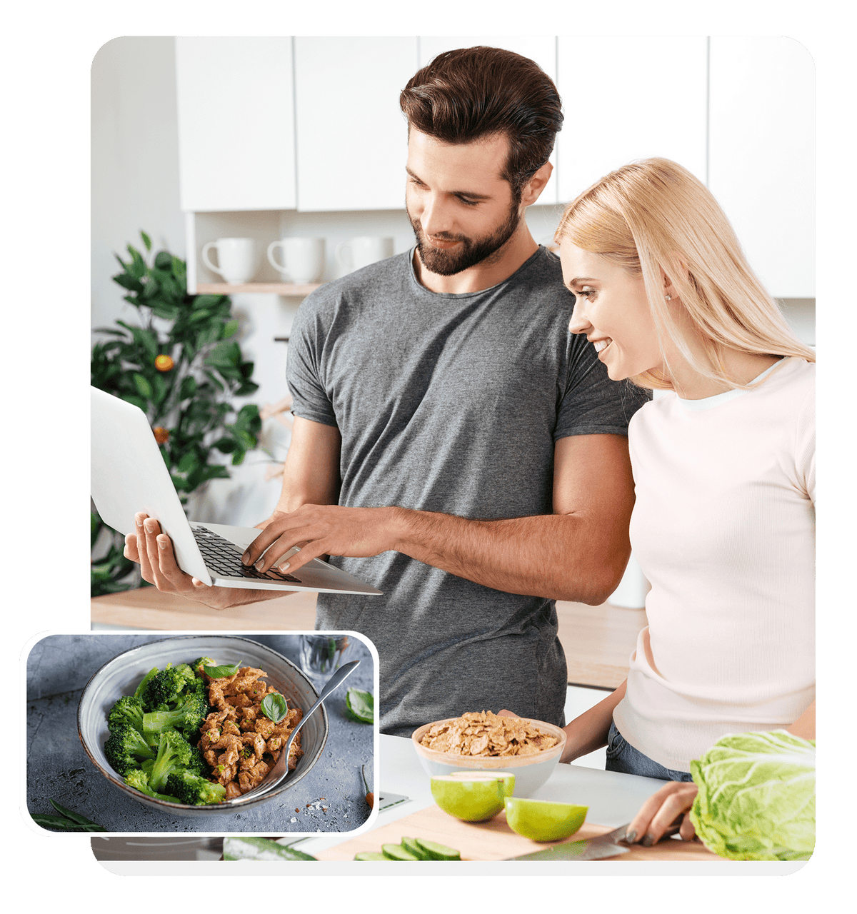 Turn the global protein trend into Profit with Protein Meals Recipe Videos with Unrestricted PLR - Ava Phillips Styles Collection,  Organic Green Product for pets and Animation Moive Memorabilia.