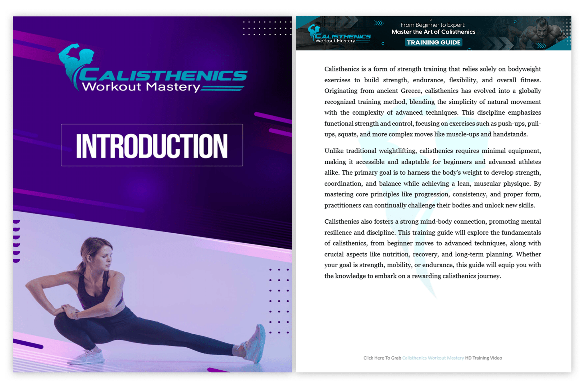 (PLR) Calisthenics Workout Mastery - Ava Phillips Styles Collection, Organic Green Product for pets and Animation Moive Memorabilia.