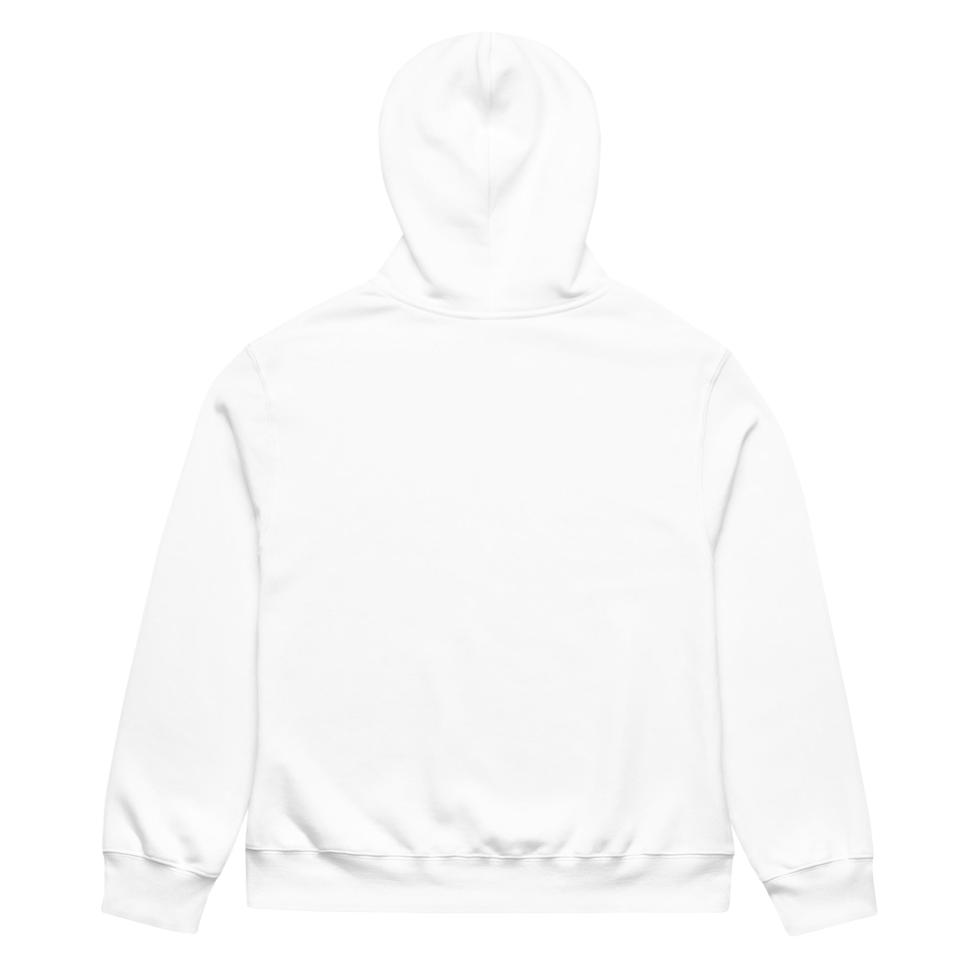 The Price Of Detroit Oversized heavyweight hoodie - Ava Phillips Styles
