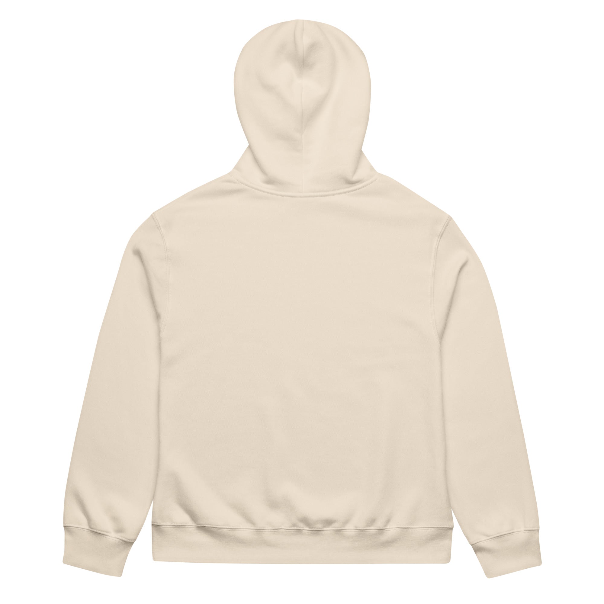 The Price Of Detroit Oversized heavyweight hoodie - Ava Phillips Styles